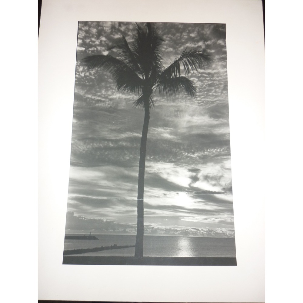 Vintage G. Mestek Signed Photo Art Print Palm Tree Sunset Silhouette Gallery